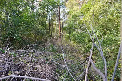 Tract #2 Long Street, Waskom, TX 75692 - Photo 17