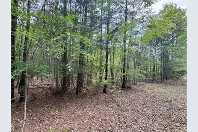 0 County Road 2742, Naples, TX 75568 - Photo 19