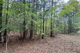 0 County Road 2742, Naples, TX 75568 - Photo 19