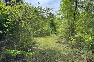 0 County Road 2742, Naples, TX 75568 - Photo 7