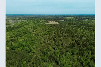 0 County Road 2742, Naples, TX 75568 - Photo 33