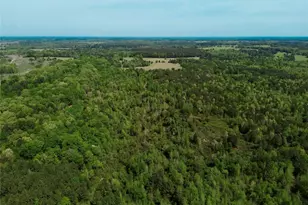 0 County Road 2742, Naples, TX 75568 - Photo 33