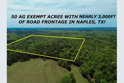 0 County Road 2742, Naples, TX 75568 - Photo 1