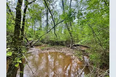 0 County Road 2742, Naples, TX 75568 - Photo 5