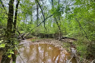 0 County Road 2742, Naples, TX 75568 - Photo 5