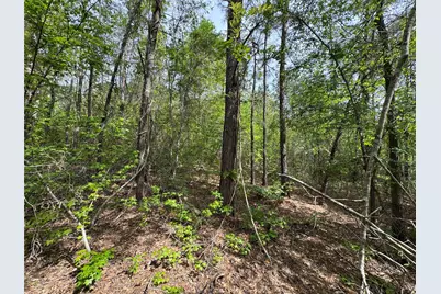 0 County Road 2742, Naples, TX 75568 - Photo 27