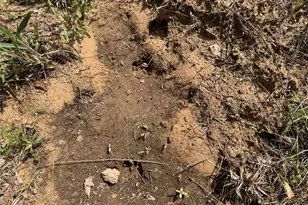 0 County Road 2742, Naples, TX 75568 - Photo 21