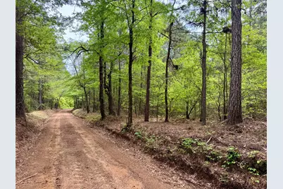 0 County Road 2742, Naples, TX 75568 - Photo 11