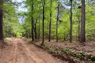 0 County Road 2742, Naples, TX 75568 - Photo 11