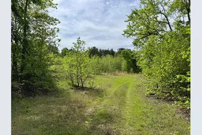 0 County Road 2742, Naples, TX 75568 - Photo 3