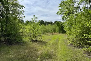 0 County Road 2742, Naples, TX 75568 - Photo 3