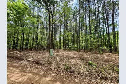 0 County Road 2742, Naples, TX 75568 - Photo 15