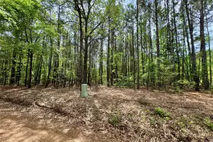 0 County Road 2742, Naples, TX 75568 - Photo 15