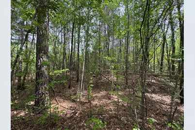 0 County Road 2742, Naples, TX 75568 - Photo 25