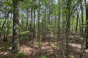 0 County Road 2742, Naples, TX 75568 - Photo 25