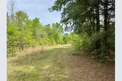 0 County Road 2742, Naples, TX 75568 - Photo 17