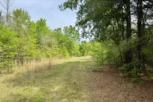 0 County Road 2742, Naples, TX 75568 - Photo 17