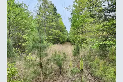 0 County Road 2742, Naples, TX 75568 - Photo 29