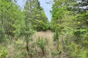 0 County Road 2742, Naples, TX 75568 - Photo 29