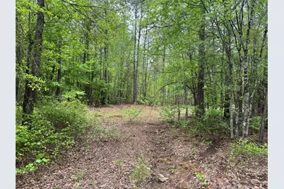 Tbd County Road 2742, Naples, TX 75568 - Photo 7