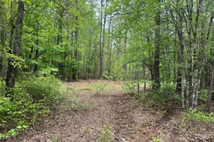 Tbd County Road 2742, Naples, TX 75568 - Photo 7