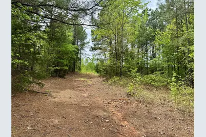 Tbd County Road 2742, Naples, TX 75568 - Photo 3