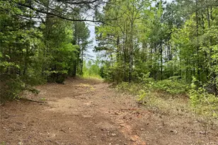 Tbd County Road 2742, Naples, TX 75568 - Photo 3