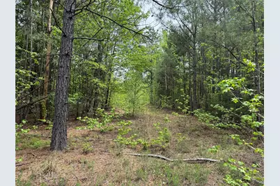 Tbd County Road 2742, Naples, TX 75568 - Photo 21