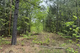 Tbd County Road 2742, Naples, TX 75568 - Photo 21