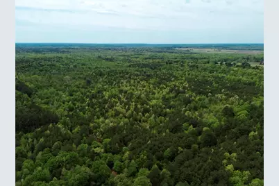 Tbd County Road 2742, Naples, TX 75568 - Photo 27