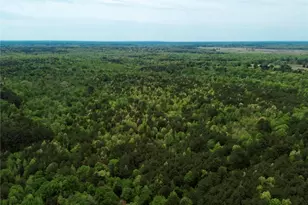 Tbd County Road 2742, Naples, TX 75568 - Photo 27