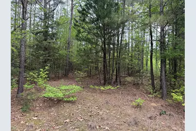 Tbd County Road 2742, Naples, TX 75568 - Photo 19