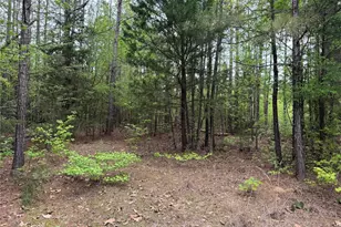 Tbd County Road 2742, Naples, TX 75568 - Photo 19