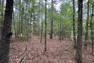 Tbd County Road 2742, Naples, TX 75568 - Photo 25