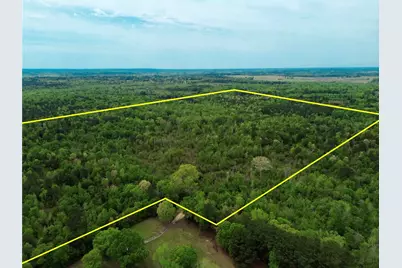 Tbd County Road 2742, Naples, TX 75568 - Photo 5
