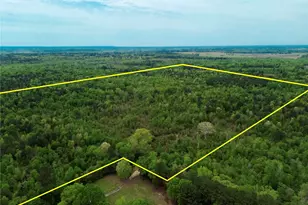 Tbd County Road 2742, Naples, TX 75568 - Photo 5