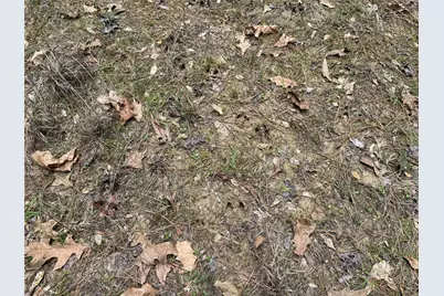 Tbd County Road 2742, Naples, TX 75568 - Photo 13