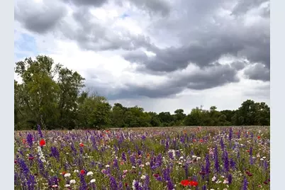 2801 N Spring Drive, Richardson, TX 75082 - Photo 25