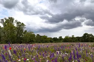 2801 N Spring Dr, Richardson, TX 75082 - Photo 25