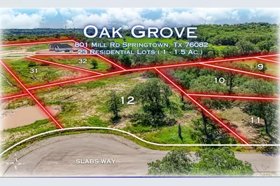 708 Slabs Way, Springtown, TX 76082 - Photo 9