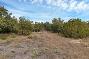 1064 County Road 407A, Nemo, TX 76070 - Photo 3