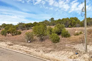 1064 County Road 407A, Nemo, TX 76070 - Photo 9