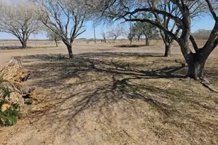 245 E Fm 772, Kingsville, TX 78363 - Photo 5
