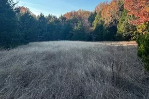 6448 Co Rd 437, Princeton, TX 75407 - Photo 21