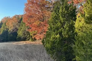 6448 Co Rd 437, Princeton, TX 75407 - Photo 33