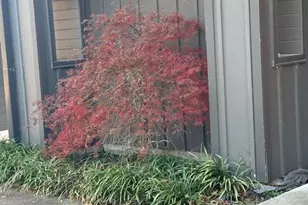 6448 Co Rd 437, Princeton, TX 75407 - Photo 19