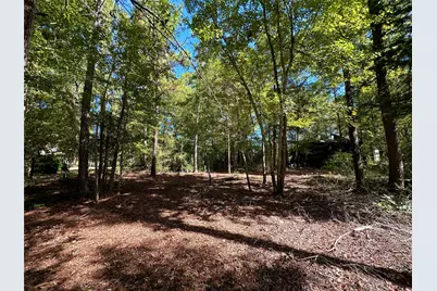 Tbd Holly Trail, Holly Lake Ranch, TX 75765 - Photo 7