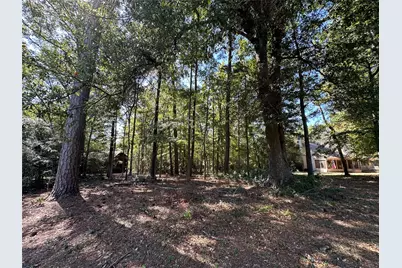 Tbd Holly Trail, Holly Lake Ranch, TX 75765 - Photo 19