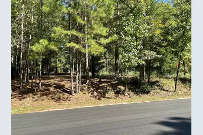 Tbd Holly Trail, Holly Lake Ranch, TX 75765 - Photo 35