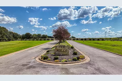 Tbd Pk Hills Boulevard, Graford, TX 76449 - Photo 5